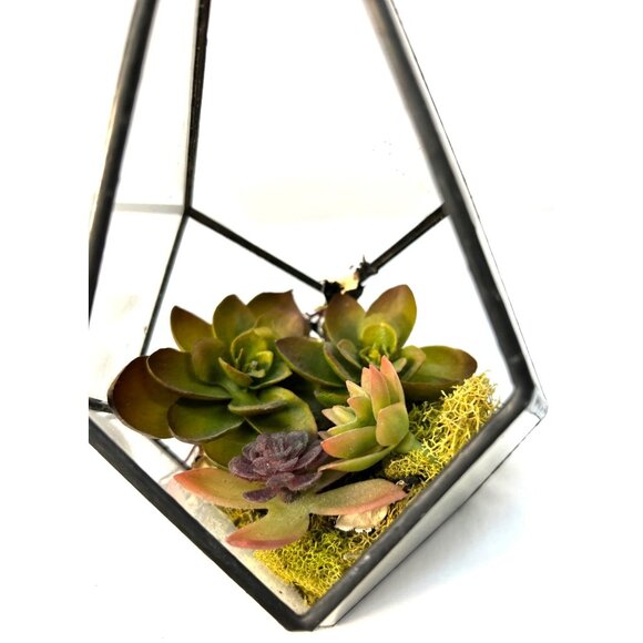 Geometric Glass Terrarium With Artificial Succulents & Moss - Picture 2 of 3